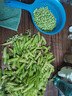 新鲜豌豆四川带壳青豆角水果甜豆荚农家蔬菜 新鲜青豌豆荚净重2斤 实拍图