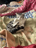 凯锐思 美短专用猫粮幼猫成猫深海鱼鱼肉猫食天然粮 美短2kg 实拍图
