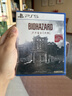 索尼（SONY）PlayStation 5 PS5游戏光盘 生化危机9 安魂曲 标准版 BIOHAZARD 港版中文 实拍图