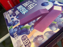 明治蓝莓酸奶味雪糕 46g*10支 彩盒装 实拍图