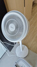 美的（Midea）【暴风循环】空气循环扇大风量摇头电风扇家用台式落地扇轻音卧室节能小风扇柔风轻羽扇 FGA24TQ 实拍图