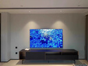 索尼（SONY）品质款 3系 K-65S30 65英寸 X80L升级款 4K HDR 全面屏电视 平板电视 实拍图