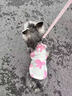 MIKI PAD狗绳牵引绳狗狗不勒脖遛狗绳小型犬狗链子幼犬胸背宠物狗胸背带 小香风（胸背+1.5米牵引绳） XS（建议3-5斤狗狗） 晒单实拍图