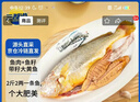 三都港 洄游季带籽黄花鱼1.1kg/条 大黄鱼 深海鱼 生鲜 鱼类 海鲜水产 实拍图