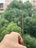 苍蝇驱赶神器无味一闻死家用商用饭店水果摊养殖场专用型蚊香灭蝇 一盒【灭蝇王】 实拍图