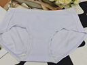有棵树女士内裤女莫代尔7A抗菌加长棉裆高弹透气丝滑亲肤女生三角短裤 实拍图