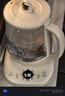小熊（Bear）养生壶煮茶壶煮茶器 多功能保温一体烧水壶恒温水壶 316L母婴级煮水壶 1.5L YSH-E15M1 实拍图