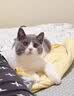 猫咪防猫掉毛吃什么深海鱼油营养片美毛靓毛维生素非药防脱毛神器 3盒【再也不掉毛】 实拍图