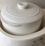 苏泊尔（SUPOR） 电炖锅 电炖盅 燕窝炖 宝宝辅食 婴儿煮粥锅1L精巧容量 bb煲 迷你煮粥煲汤锅隔水炖DZ10YC882 实拍图