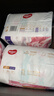 好奇（Huggies）皇家小龙裤拉拉裤L76片(9-14kg)尿不湿【30倍爆吸】 实拍图