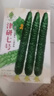 花语笙默四季播种蔬菜种子家庭种菜盆栽田园地栽菜种易种植易生长瓜果菜籽 津研七号黄瓜种子（约45粒） 原厂封装1袋 实拍图