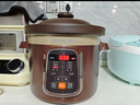 九阳（Joyoung）电炖锅电炖盅电砂锅炖汤盅煲汤锅多功能锅紫砂锅燕窝炖盅煮粥锅直炖4L大容量 可预约保温GD410 实拍图