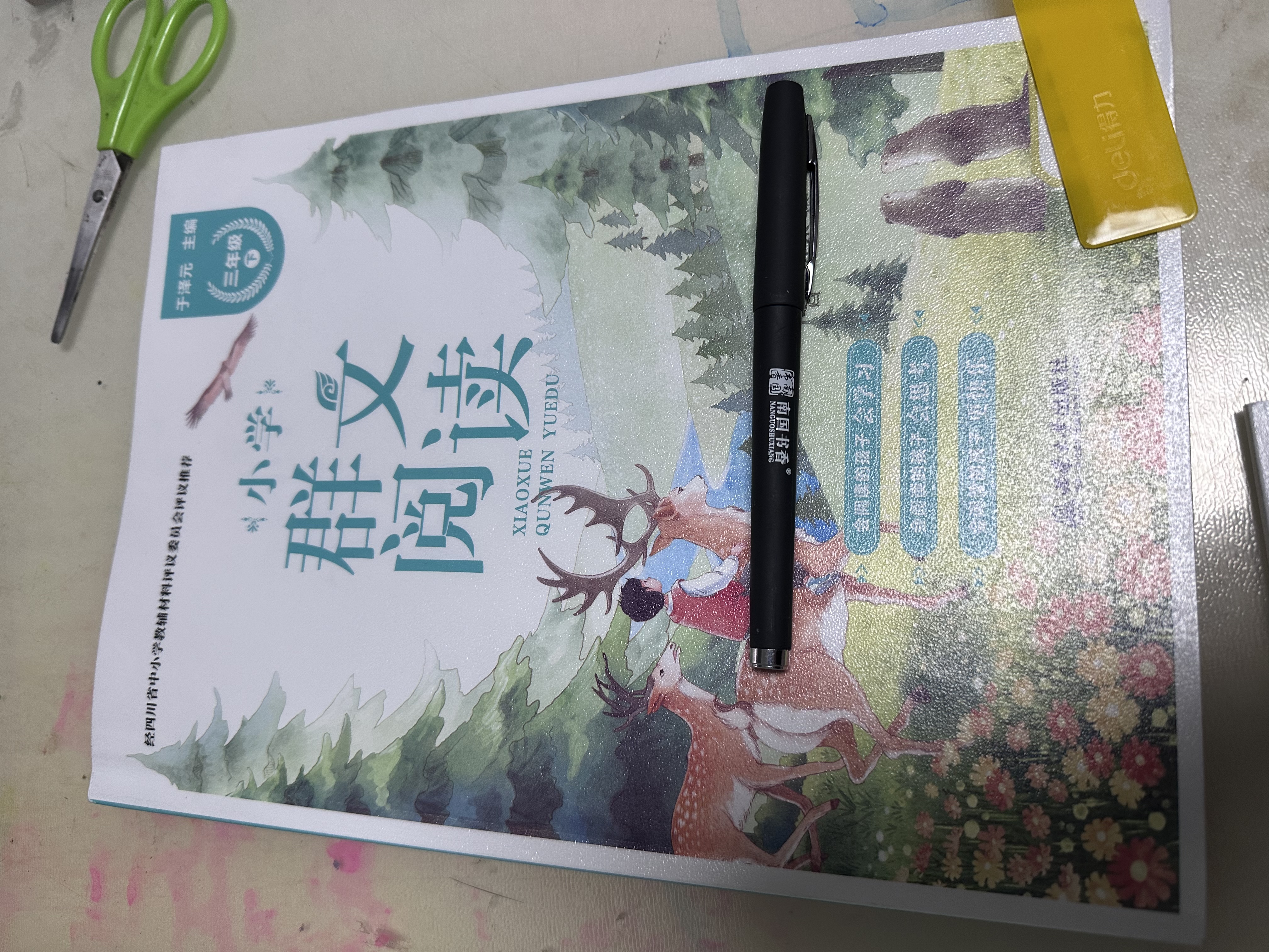 得力（deli）得力磨砂书皮包书膜书套16k透明防水塑料加厚A4小学生课本一二年级上下册课本保护套纹理防滑书膜 磨砂质感【10张大号A4】书膜 实拍图