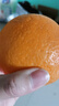 纽荷尔脐橙夏橙新鲜采摘水果 【精挑细选】带箱10斤 大果75mm+普箱 实拍图