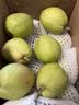 京鲜生 新疆库尔勒香梨 净重4.5斤 单果140g+ 生鲜水果 实拍图