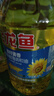 金龙鱼 食用油 葵花籽清香型调和油5L （新老包装随机发货） 实拍图