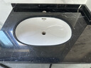 TOTO台下盆LW546B洗手盆家用嵌入式椭圆形智洁洗脸面盆【全国补15%】 LW546B智洁盆（550mm*400mm） 实拍图