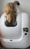 小佩智能全自动猫砂盆可视猫厕所MAX PRO2电动铲屎一键换砂开放式隔臭 实拍图