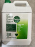 滴露（Dettol）消毒液5L大桶装消毒水家用商用工业车间酒店物业衣物环境消毒杀菌 实拍图