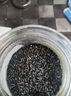 精选黑米 粗粮东北杂粮五谷杂粮量粥米搭配 黑米1斤 实拍图