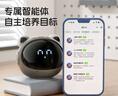 波比熊【粉色】波比熊时间精灵T9多功能语音对话控制时间管理器充电学生礼物卡通闹铃开学季儿童节礼物 实拍图
