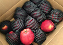 京鲜生 甘肃天水花牛苹果 又大又红 净重10斤 单果240g以上 生鲜水果 实拍图