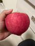 京鲜生山东红富士苹果净重 5斤礼盒+手提袋 单果230g起 源头直发包邮 实拍图