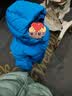 齐齐熊男童羽绒服面包服儿童保暖冬装上衣宝宝白鸭绒 实拍图
