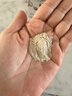 华北制药2盒装枸杞五红粉枸杞红豆红枣红糖红米产后月子滋补 实拍图