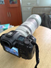 佳能（Canon）RF100-500mm F4.5-7.1 L IS USM 超远摄变焦镜头【滤镜防护套装】 实拍图