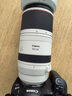 佳能（Canon）RF100-500mm F4.5-7.1 L IS USM 超远摄变焦镜头【滤镜防护套装】 实拍图