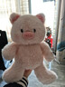 名创优品（MINISO）福莉丝猪系列-乖乖坐姿公仔毛绒玩具玩偶抱枕娃娃生日礼物女 实拍图