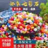 鱼缸水族天然鹅卵石彩色石子 底部造景砂石底砂盆栽铺面石头 五彩石【1000g】1袋 实拍图