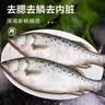 棠鲜生海鲈鱼新鲜冷冻深海七星鲈鱼海捕花鲈鱼 3条装三去海鲈鱼（0.8-1斤/条） 实拍图