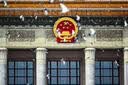 京鲜生 进口红心西柚/葡萄柚4粒装 单果250g起 新鲜水果 源头直发 包邮 实拍图