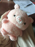 桌面摆件桌伴可爱熊玩偶桌子摆件陪伴学习生日礼物男女摆件 桌伴玩偶毛绒玩具【小猪】 实拍图