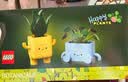 乐高（LEGO）积木玩具花植系列10349快乐盆栽9岁+情人节礼物新年礼物 实拍图