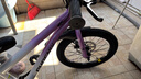 凤凰（Phoenix）儿童自行车脚踏车自行车3-6-10-18岁童车双碟刹带辅助轮18寸紫色 实拍图