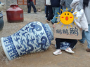 基诺浦学步鞋春秋季男女透气机能鞋复古童鞋GY1627粉色185mm 实拍图