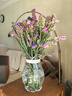 3.18节勿忘我鲜切花真花客厅餐桌插花摆件送人礼物 勿忘我2束（2-5个颜色）约400g效果更好 实拍图