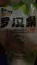 广西桂林源头产地罗汉果干果泡茶特级大果独立包装无任何添加烘烤 45-50毫米 小果 1个*2袋 独立包装 实拍图