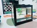 桌面鱼缸小型家用积木缸生态缸水族箱斗鱼缸带小夜灯氛围灯摆件 黑色斗鱼缸+一个灯 实拍图