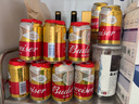 百威啤酒经典纯生330ml*24听整箱装新旧包装随机京东自营 实拍图