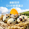 盐津铺子鹌鹑蛋混合口味约99颗约660g盐焗香卤卤蛋铁蛋休闲小吃零食大礼包 实拍图