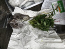寿禾 各种蔬菜苗活苗带土发货大全菜苗夏秋秧苗山东寿光苗种子阳台 [金玲珑2号]黄圣女果苗 6棵 实拍图