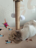 HELLOJOY猫抓柱剑麻猫抓板猫玩具耐抓耐磨不掉屑猫爬架立式自嗨解闷用品 实拍图