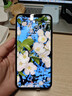 Apple 苹果 iPhone 17/16/15/14/13/12/11/X系列二手手机商品详情见质检报告 苹果 iPhone XS Max 实拍图