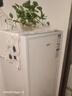 海尔（Haier）山茶花211L立式冰柜小型家用小冰柜减霜一级节能冷冻大容量精致深冷冷柜小冰箱BD-211GHW9国家补贴 实拍图