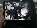 Apple/苹果 iPad mini (A17 Pro) 8.3英寸 平板电脑(256G WLAN版/mini7/MXNA3CH/A)深空灰色 实拍图