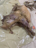 画宝刚道口烧鸡850克五香卤鸡扒鸡熟食腊味真空即食 河南老字号特产团购 实拍图